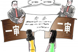 高安贷款清欠服务