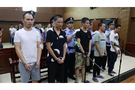 高安债务清欠服务